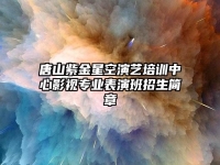 唐山紫金星空演艺培训中心影视专业表演班2023年招生简章
